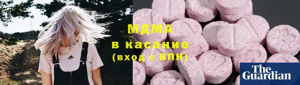 индика Новозыбков