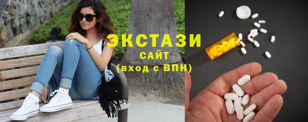 индика Новозыбков