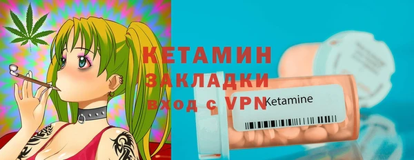индика Новозыбков