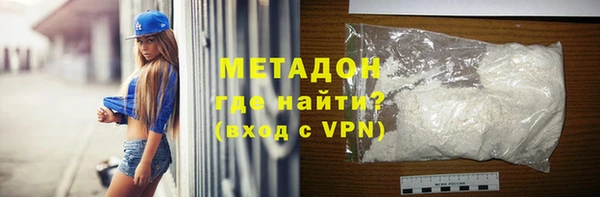 индика Новозыбков