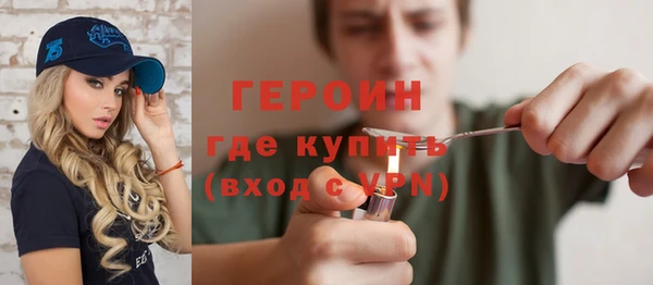 индика Новозыбков