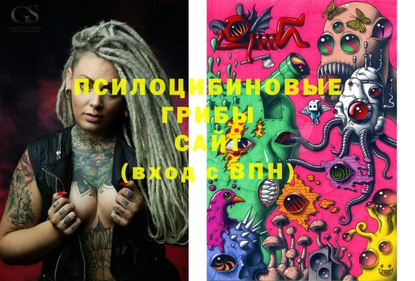 индика Новозыбков