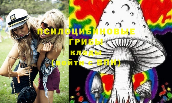MDMA Новодвинск