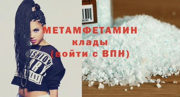 индика Новозыбков